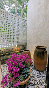 Jardín Recámara Principal, Casa Sacbé. Oseguera Gonzalez Arquitectos.